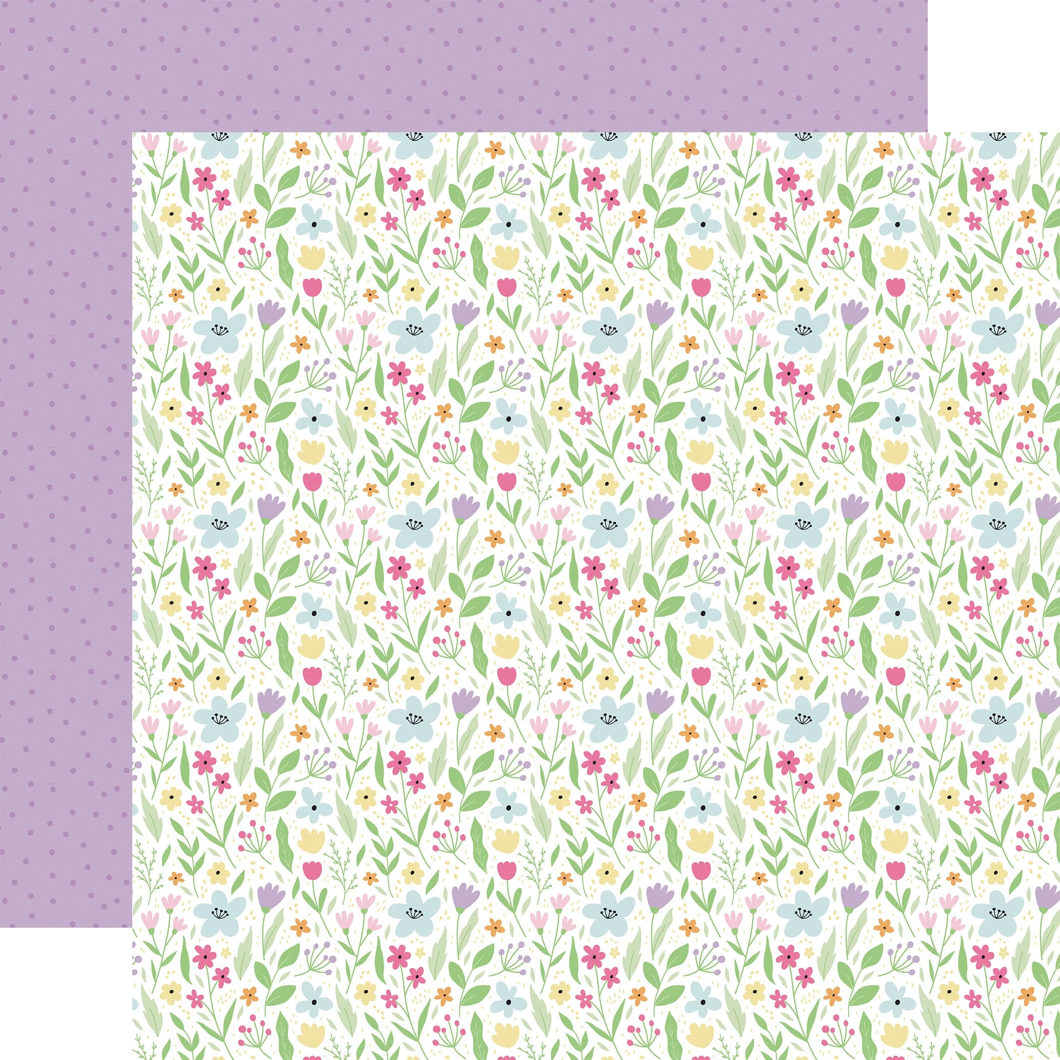 Imagen del producto 12