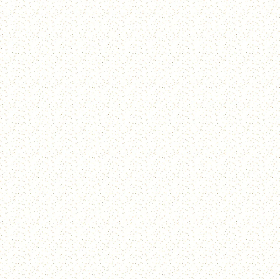 Imagen del producto 16